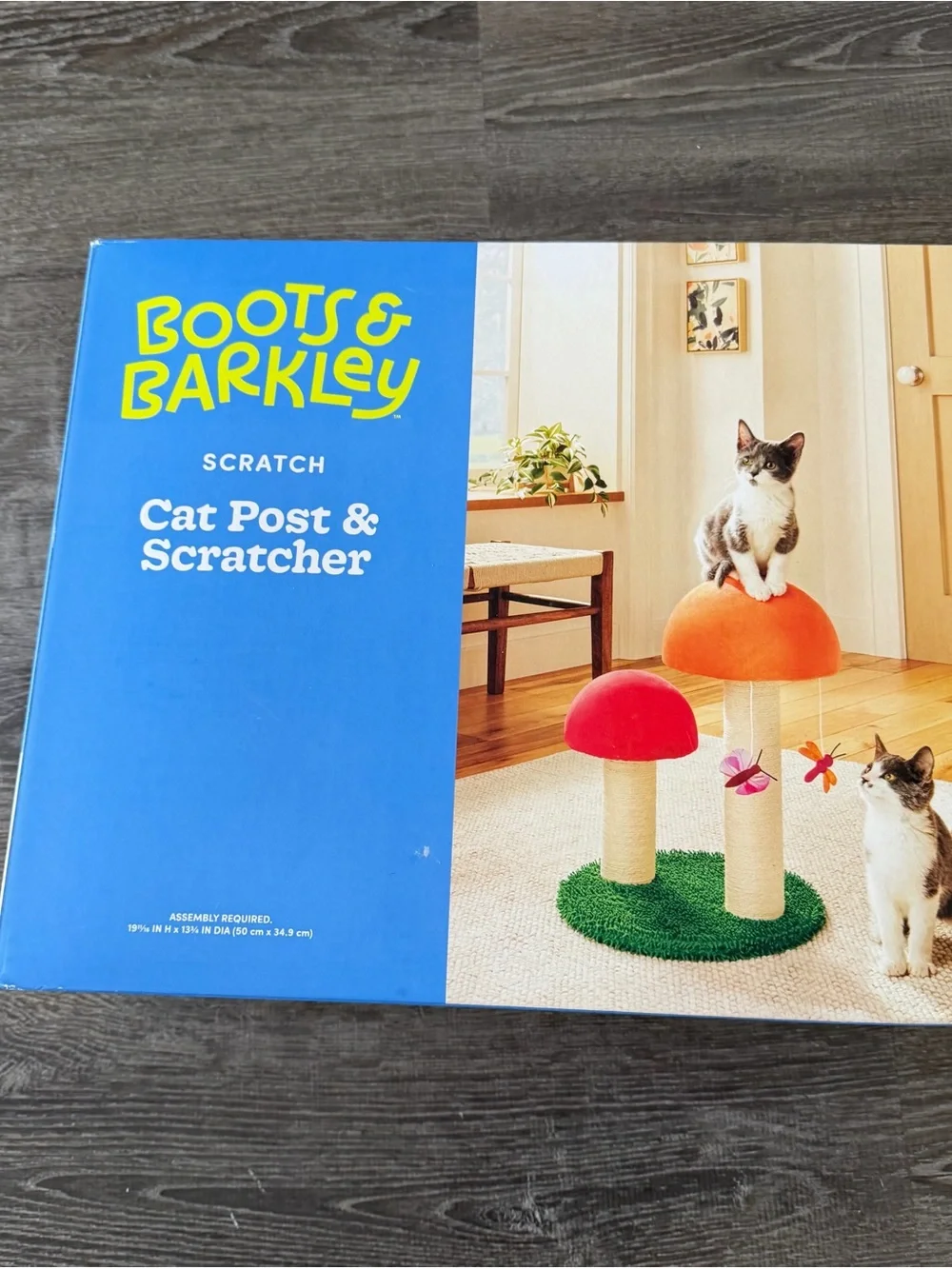 Mushroom Cat Scratcher Play Set - Blue Box with Red/Orange Plush